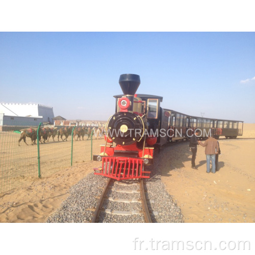 Locomotive du trafic sur la voie du désert